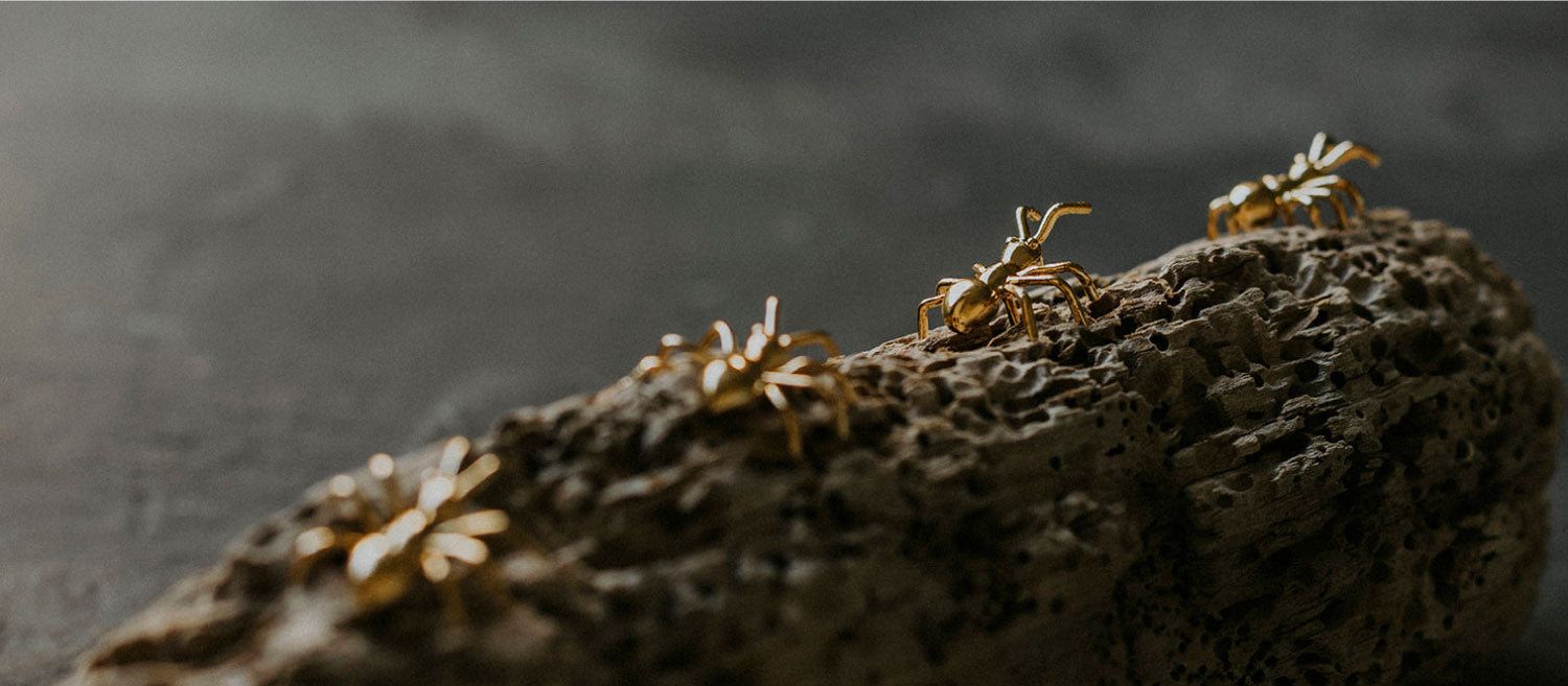 BE ANTSTOPPABLE COLLECTION