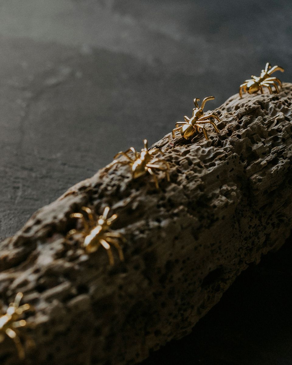ANT GOLD EARRINGS - DE LA ROSA TULUM