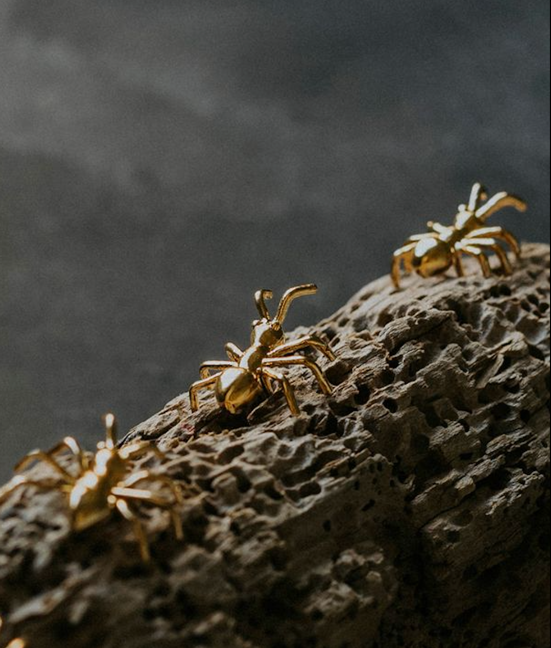 SET OF 3 GOLD ANT DECOR